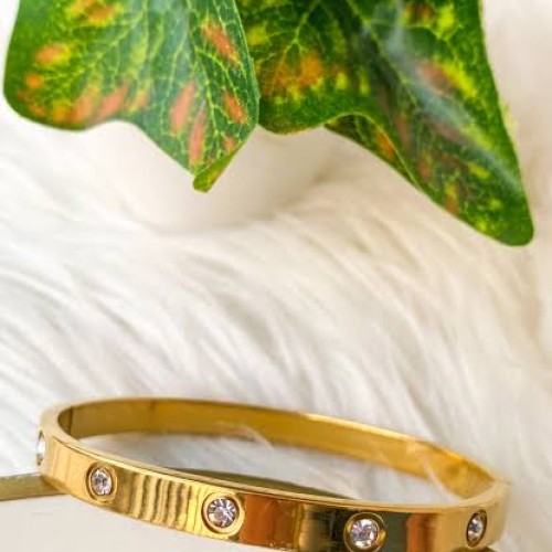 Cartier Braclate(Goldren)