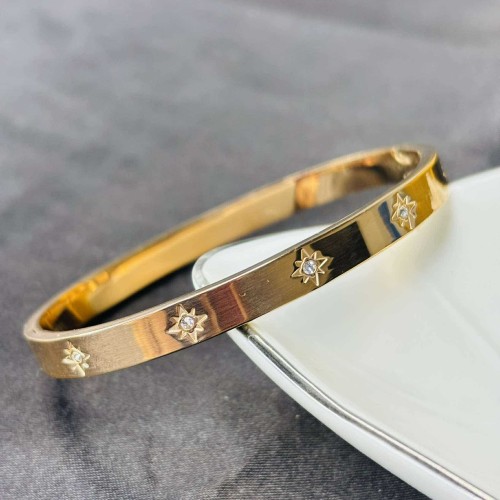 Starry Titanium Braclate