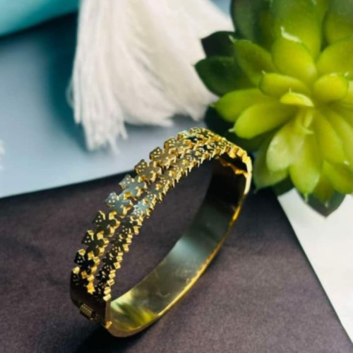 Dall Titanium Braclate