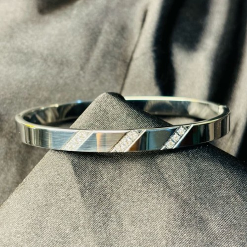 Titanium three Stone Braclate