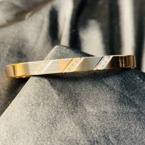 Titanium three Stone Braclate