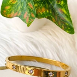 Cartier Braclate(Goldren)