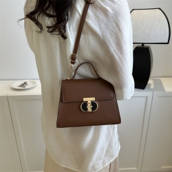 Brown Ladies Bag