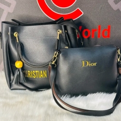 Dior 2 In 1 Bag