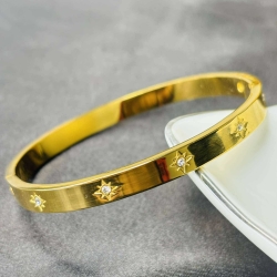 Starry Titanium Braclate