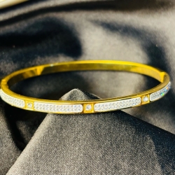 White Stone Titanium Braclate